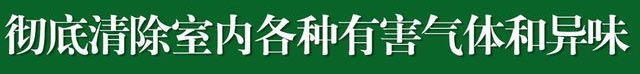 烟台除甲醛公司