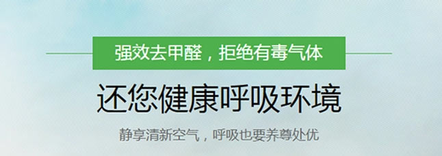 烟台除甲醛公司