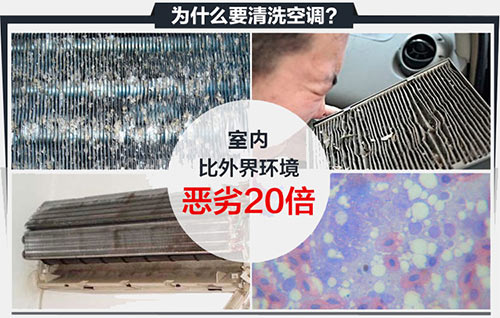 烟台除甲醛公司